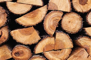 عنصر چوب